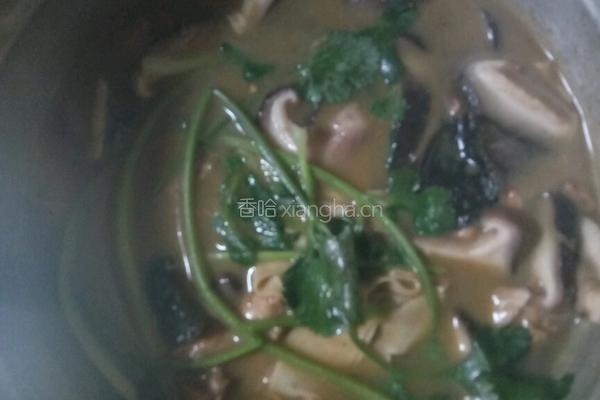 焖鸡肉的做法图解8