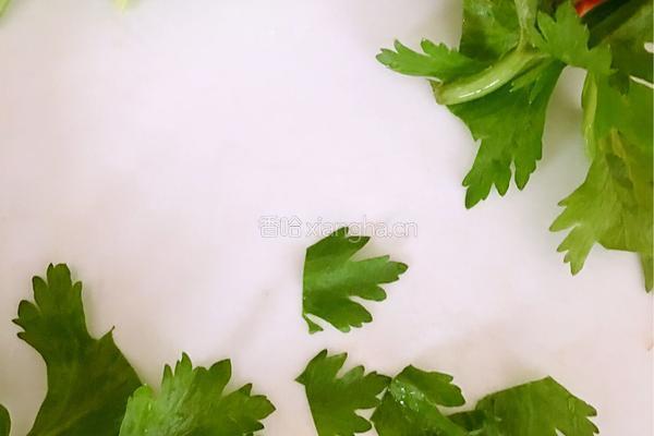 翡翠玉扇一一芹菜叶煎蛋饼的做法图解13