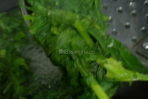 炝拌芹菜叶的做法图解3