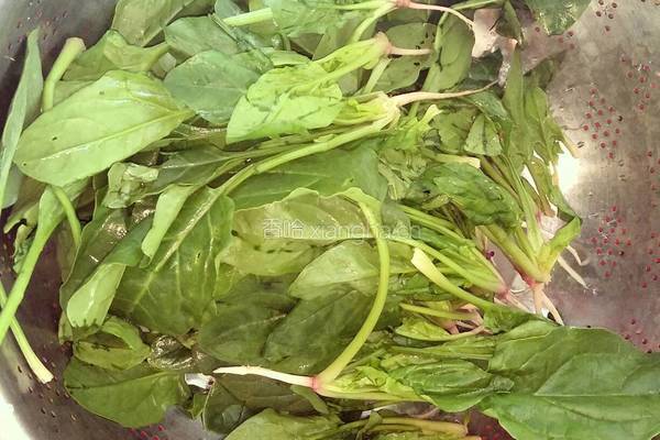 芝麻油呛菠菜的做法图解1