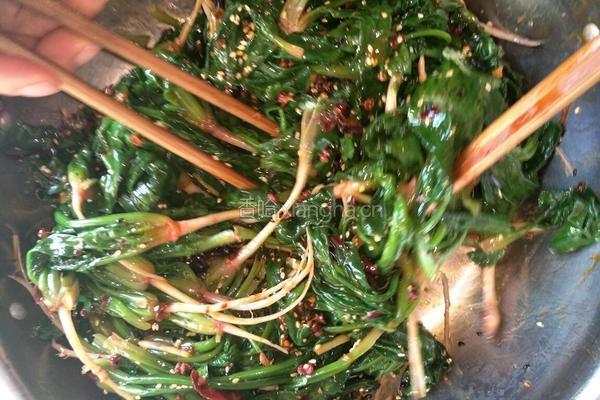 芝麻油呛菠菜的做法图解14