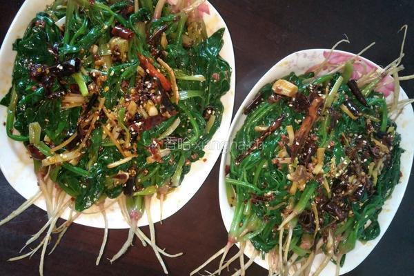 芝麻油呛菠菜的做法图解16