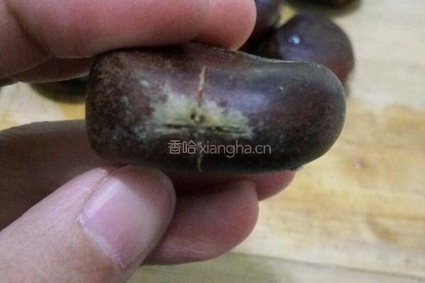养生板栗的做法图解1