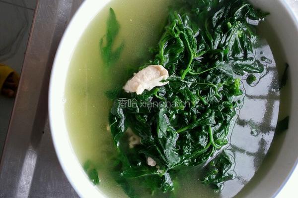 苦槐菜汆肉片的做法图解6