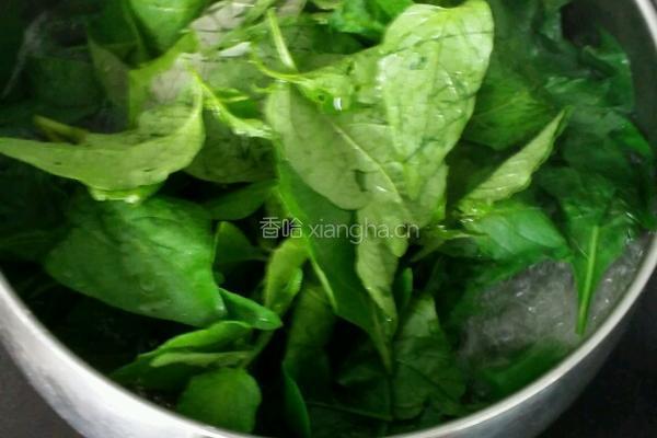 苦槐菜汆肉片的做法图解4