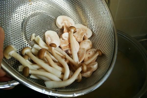 金华火腿菌菇炖鸡汤的做法图解10