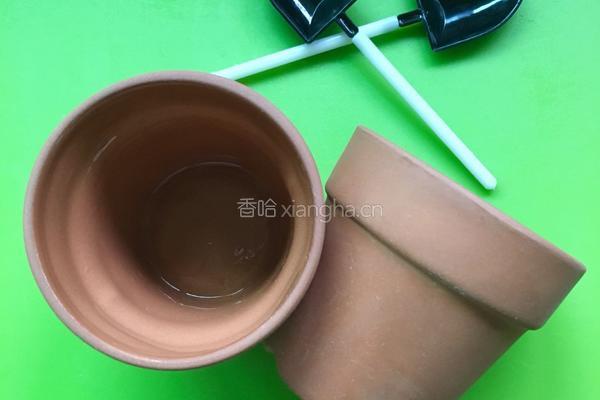 盆栽甜品的做法图解1