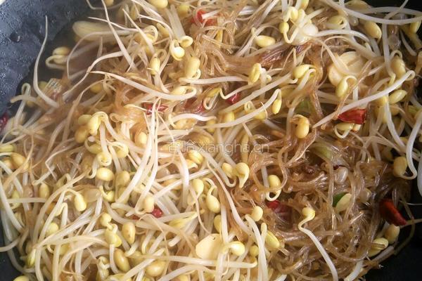 豆芽粉丝的做法图解3