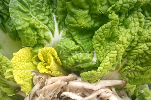 菊花菜炒蟹腿菇的做法图解1
