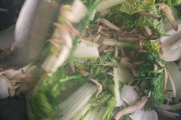 菊花菜炒蟹腿菇的做法图解3