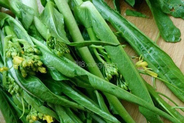 素炒增城菜心的做法图解1