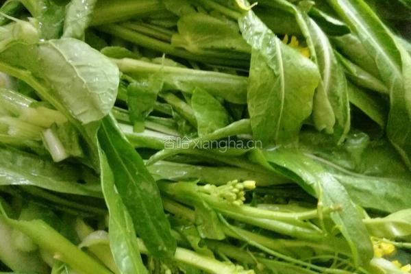 素炒增城菜心的做法图解6