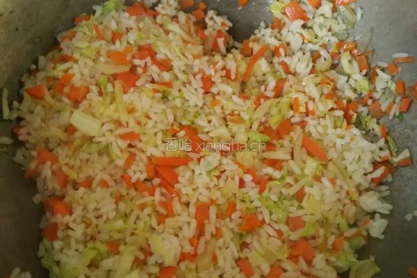 胡萝卜白菜炒饭的做法图解6