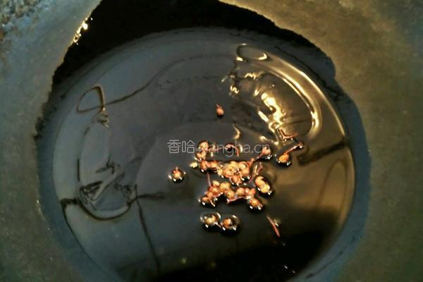 蚝油油麦菜的做法图解4