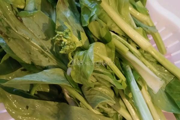 干辣椒爆炒菜心的做法图解2