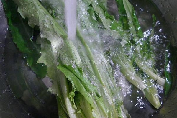花生米拌油麦菜－的做法图解1