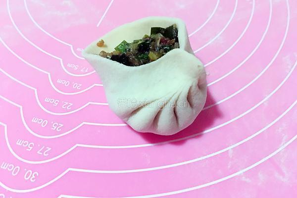 猪肉粉条韭菜包子的做法图解19