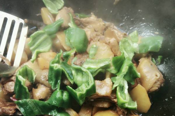 土豆大盘鸡的做法图解14