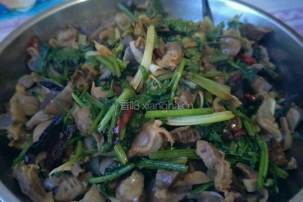 香辣鸡胗