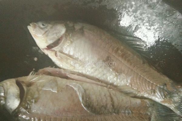 鲜嫩鲫鱼豆腐汤的做法图解1