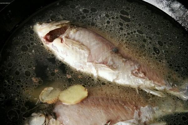 鲜嫩鲫鱼豆腐汤的做法图解2