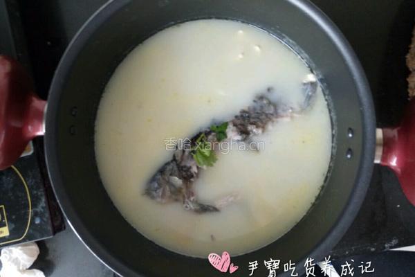 宝宝辅食鲫鱼豆腐汤的做法图解7