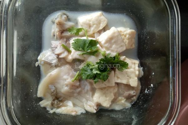 宝宝辅食鲫鱼豆腐汤的做法图解8