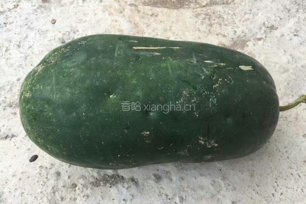 冬瓜焖肉碎的做法图解1