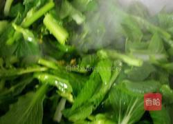 辣椒籽炒菜苔的做法图解3
