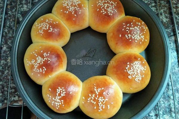 肉松小面包的做法图解14