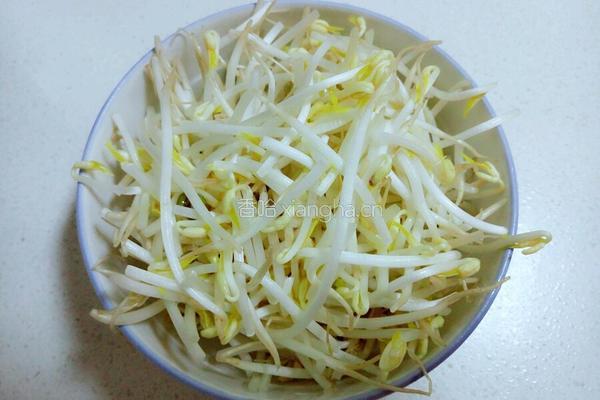 清炒绿豆芽的做法图解1