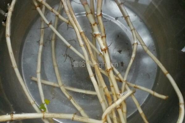 折耳根拌黄瓜的做法图解1