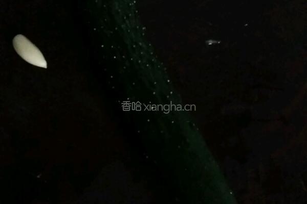 折耳根拌黄瓜的做法图解2