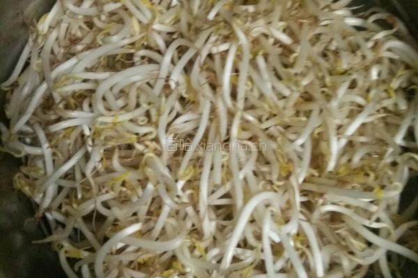 爆炒豆芽的做法图解1