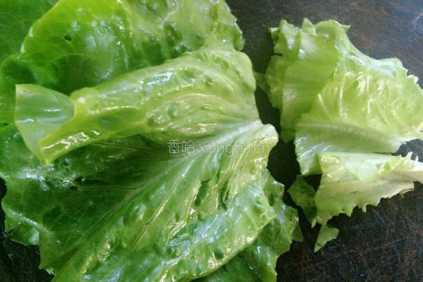 水果蔬菜三明治的做法图解3