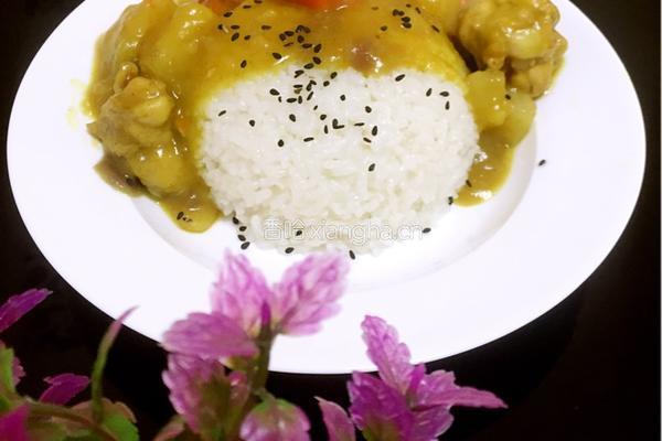咖喱鸡腿饭