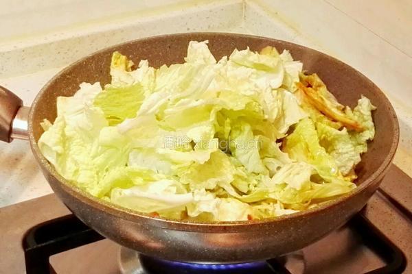 白菜炖豆腐的做法图解5