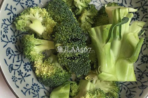 蚝油西兰花的做法图解1