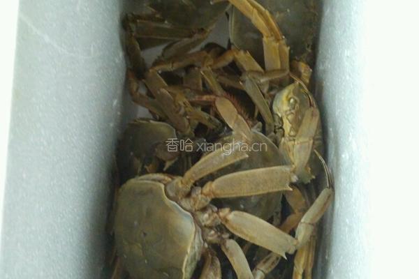 清蒸大闸蟹的做法图解1