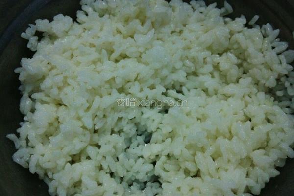 肉松火腿寿司的做法图解3