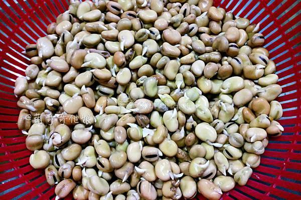 香酥兰花豆蚕豆的做法图解3