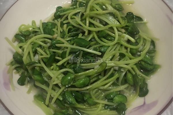 蒜香豆苗的做法图解6