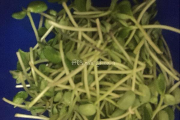 蒜香豆苗的做法图解1