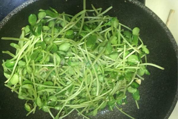蒜香豆苗的做法图解4