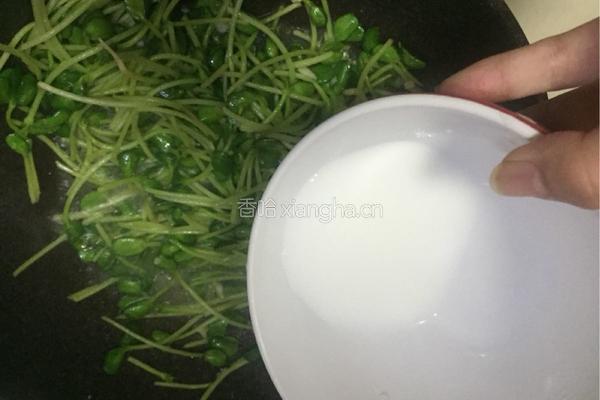 蒜香豆苗的做法图解5