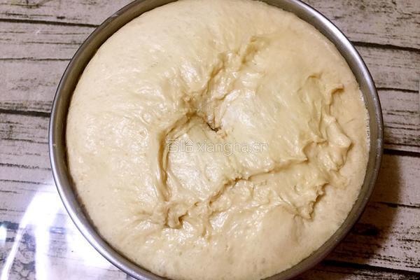 波兰酵种原味土司的做法图解9