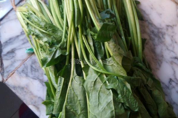 粉丝菠菜的做法图解2