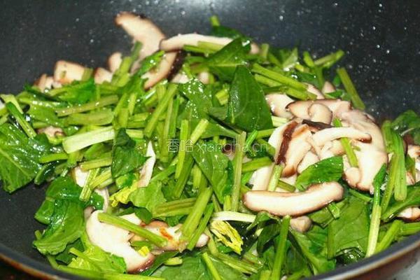 香菇蔬菜奶酪饼的做法图解10