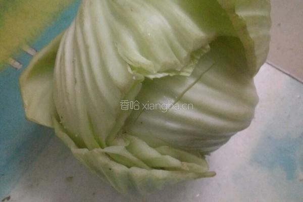 酸甜卷心菜的做法图解1