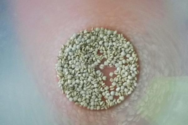 红豆薏米汤的做法图解1